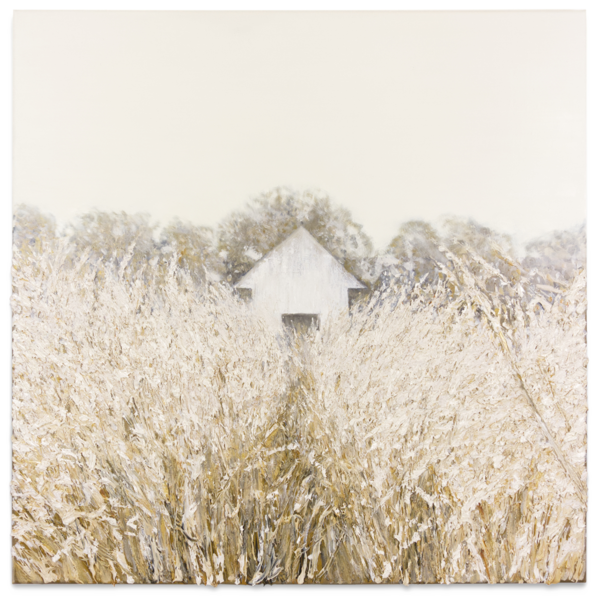 Home, 2019, oil on linen, 81 x 81cm