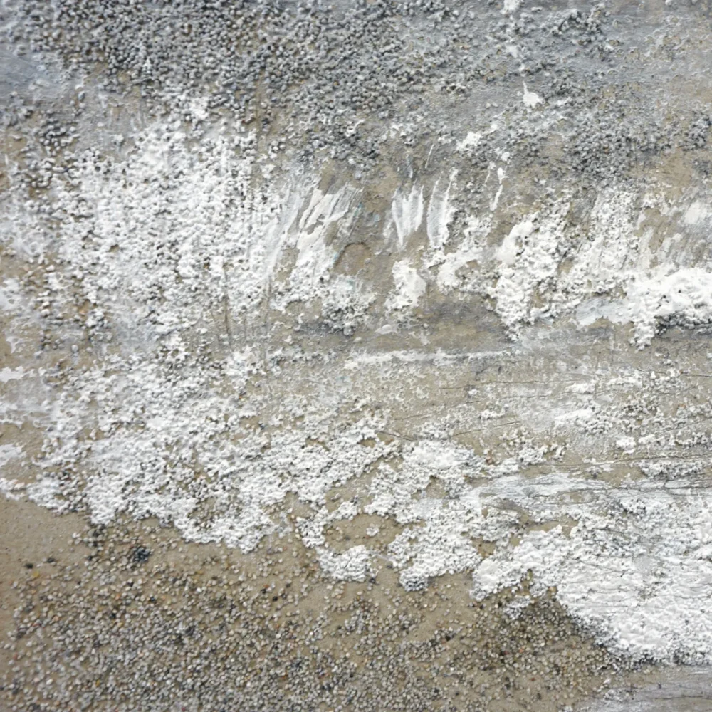 It dances dissolves and returns 2 - Image 3